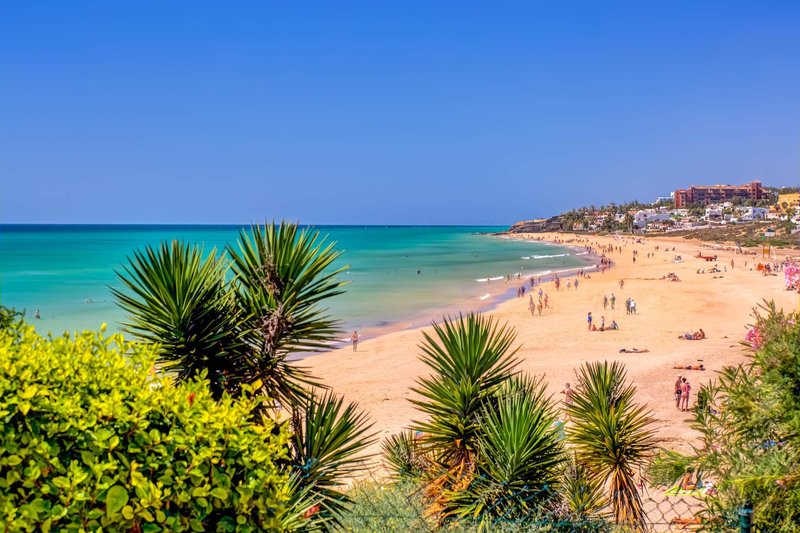 SBH Hotel Taro Beach 10