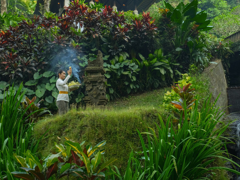 Maya Ubud Resort & Spa 5