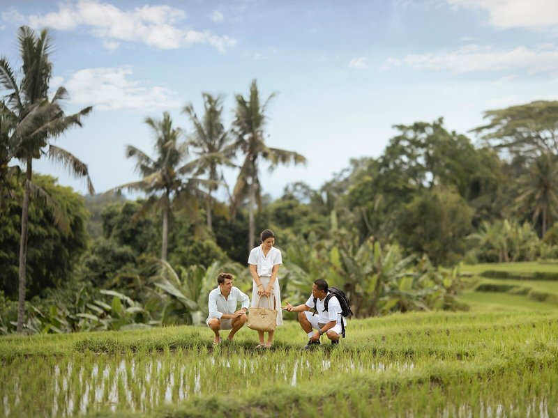 Maya Ubud Resort & Spa 32