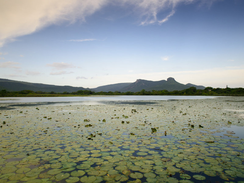 Ghost Mountain Inn 5