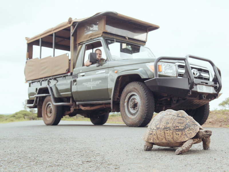 Ghost Mountain Inn 17