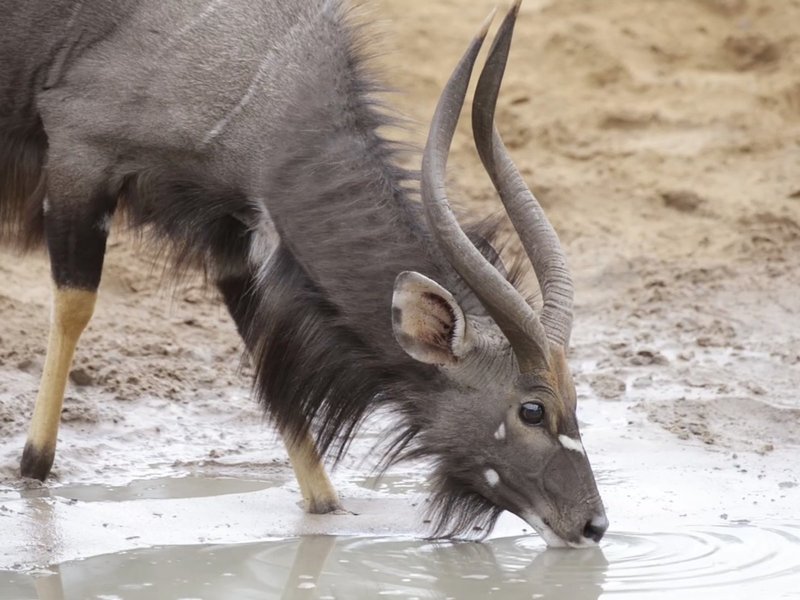 Ghost Mountain Inn 18