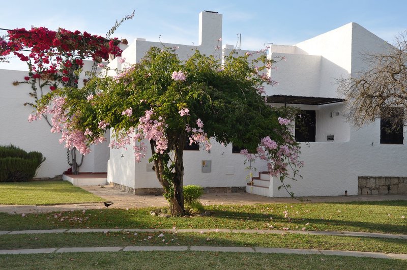 Pedras Del Rei 14