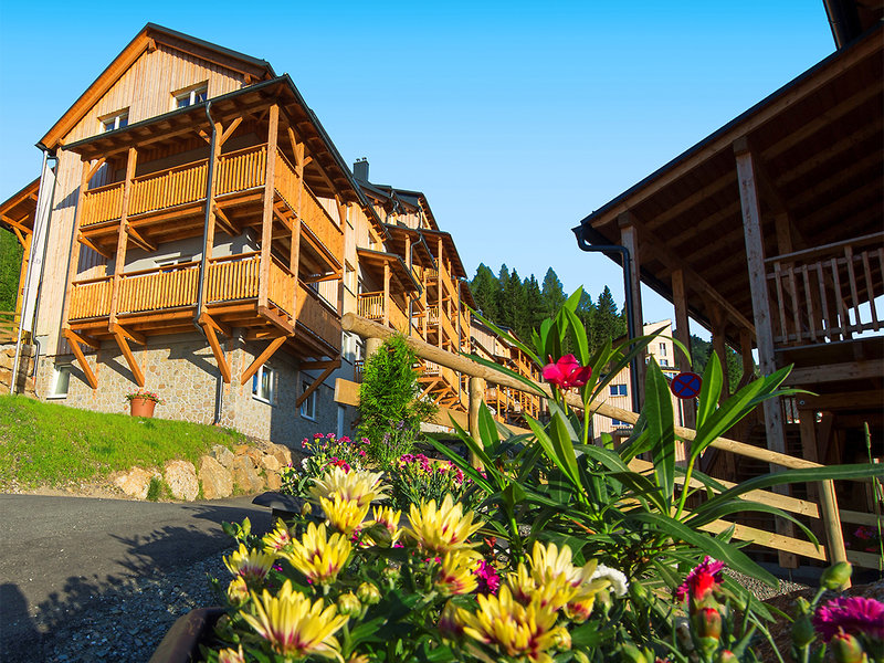 Alm Resort Nassfeld 2