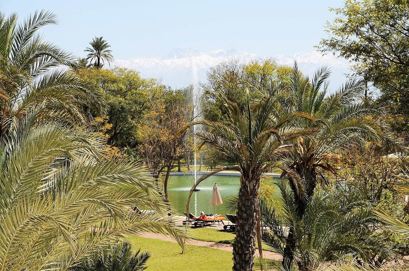 Barceló Palmeraie 17