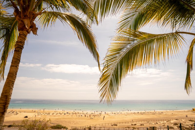 Iberostar Fuerteventura Palace 21