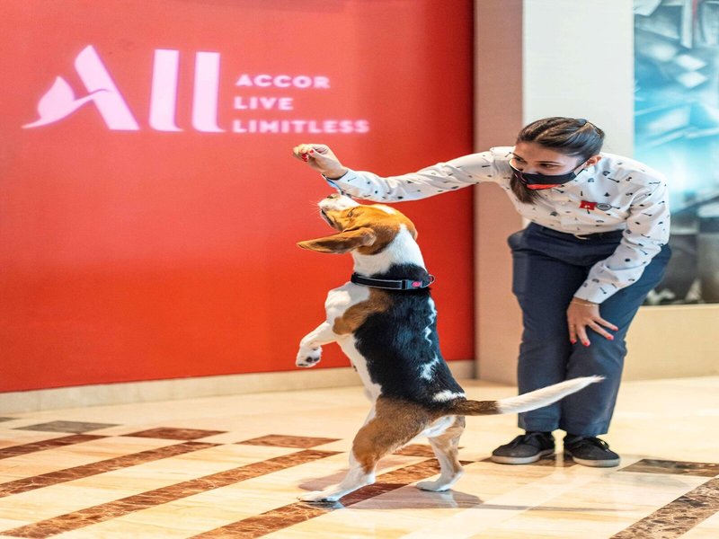 ibis Delhi Airport 47