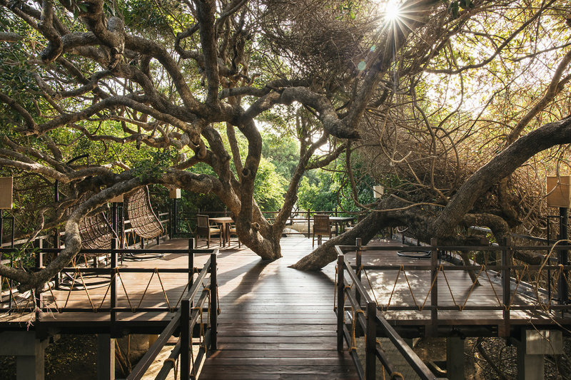 Uga Jungle Beach 11