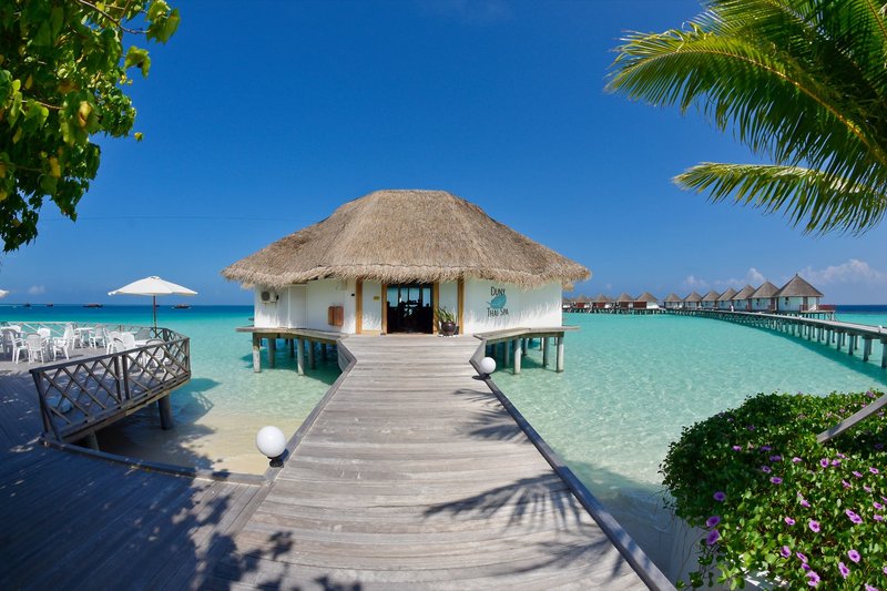 Safari Island Resort 7