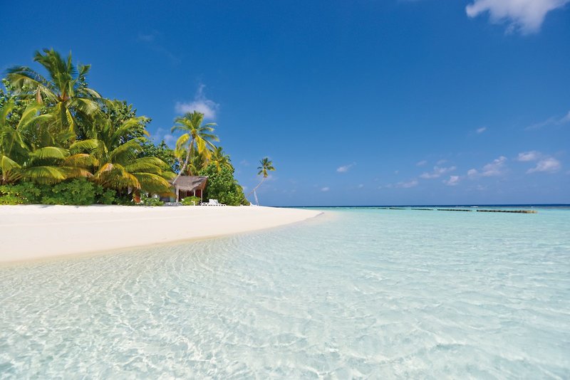 Safari Island Resort & Spa 26