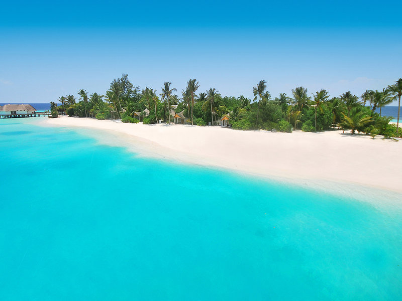 Safari Island Resort & Spa 6