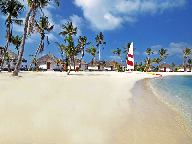 Safari Island Resort & Spa 6