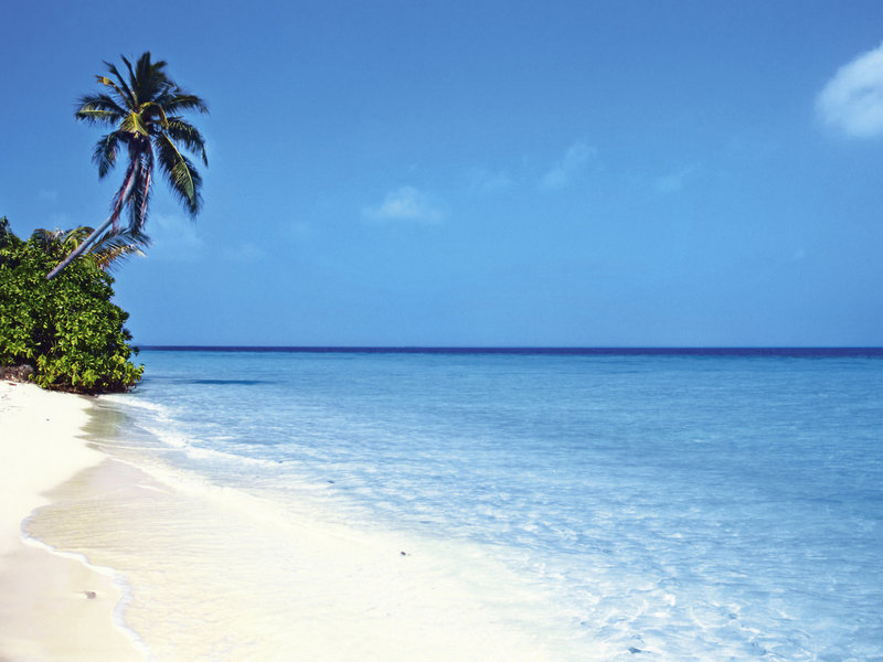 Safari Island Resort & Spa 8