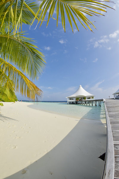Safari Island Resort & Spa 10
