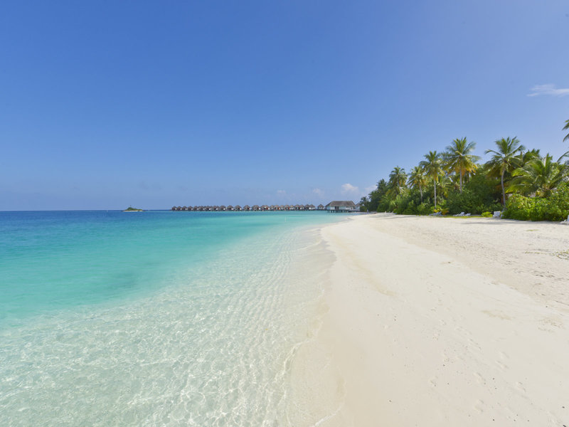 Safari Island Resort & Spa 11