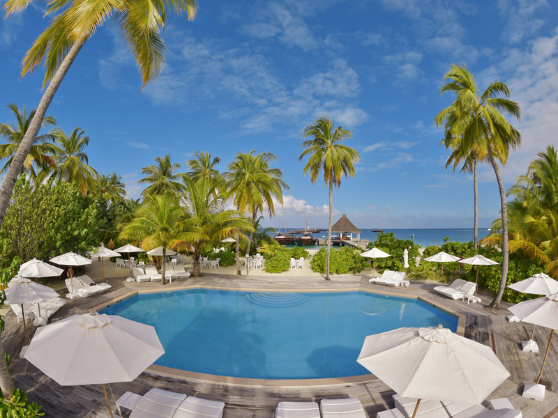 Safari Island Resort & Spa 15