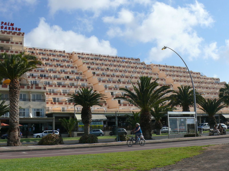 Apartamentos LIVVO Palm Garden 4