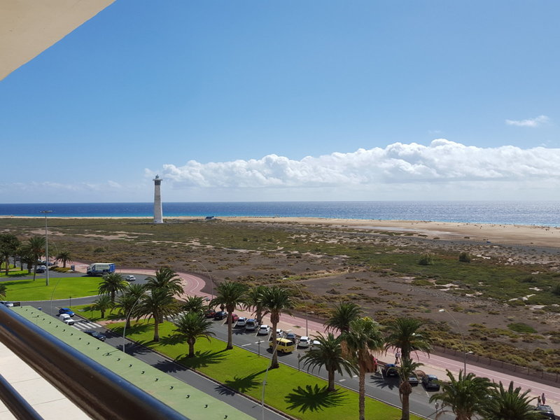 Apartamentos LIVVO Palm Garden 5