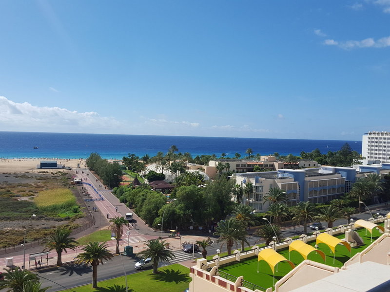 Apartamentos LIVVO Palm Garden 6