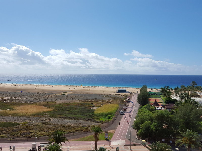 Apartamentos LIVVO Palm Garden 7