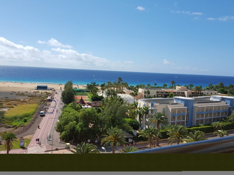 Apartamentos LIVVO Palm Garden 8