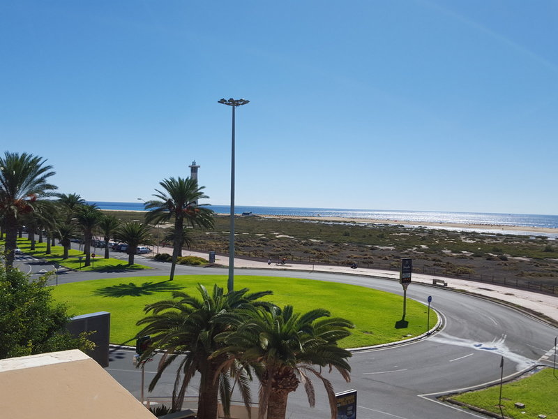 Apartamentos LIVVO Palm Garden 9