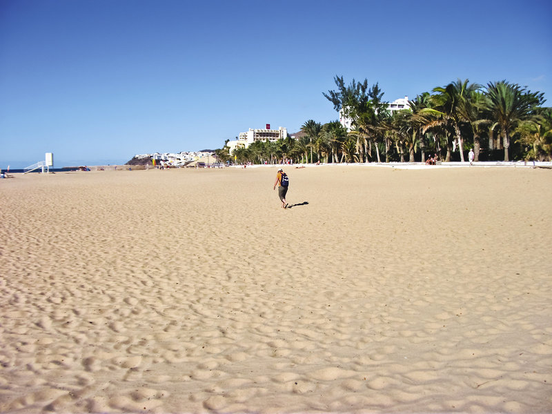 Apartamentos LIVVO Palm Garden 10