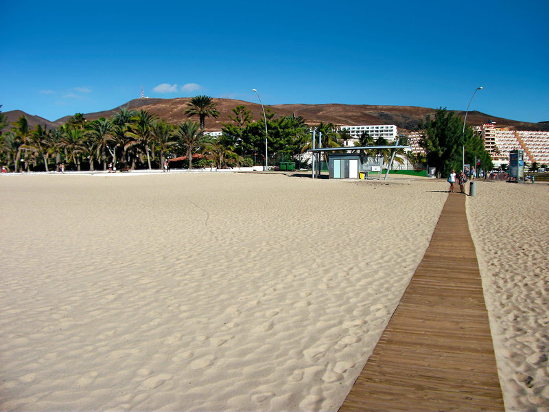 Apartamentos LIVVO Palm Garden 11