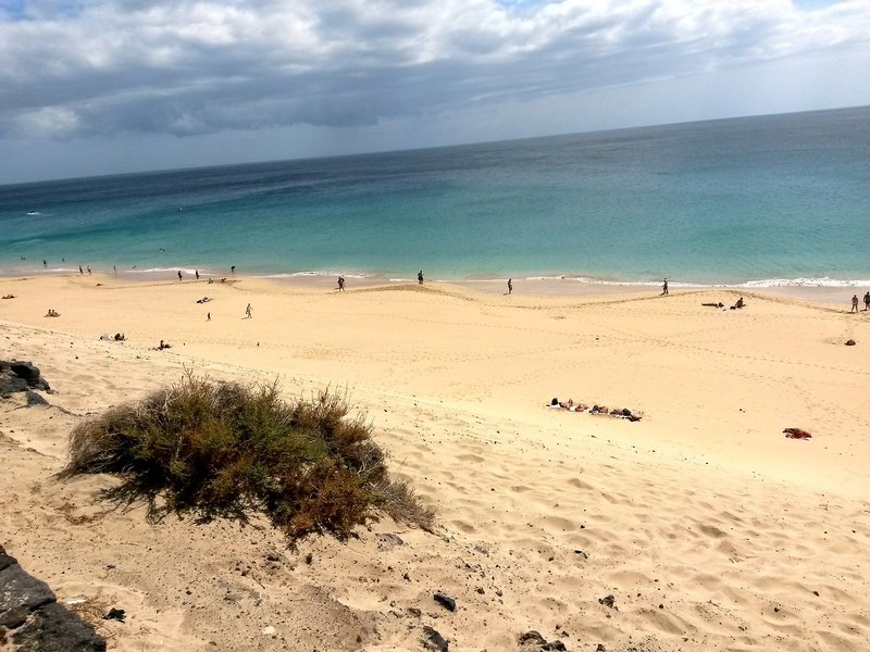 Apartamentos LIVVO Palm Garden 12