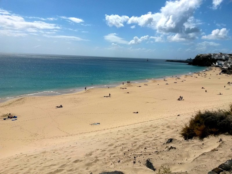 Apartamentos LIVVO Palm Garden 13