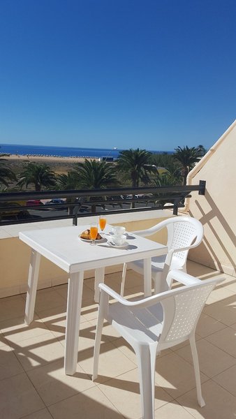 Apartamentos LIVVO Palm Garden 32