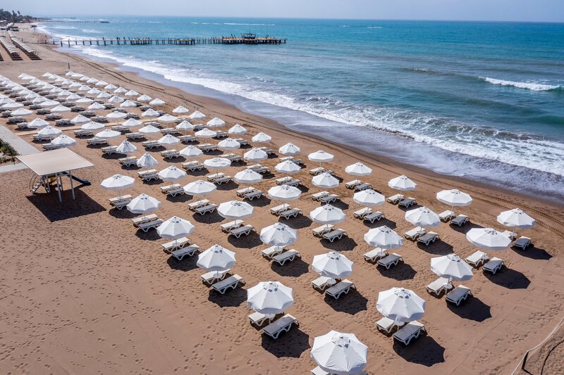 Barut Goia 46