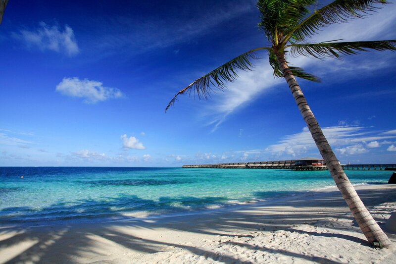 Centara Ras Fushi Resort & Spa Maldives 65