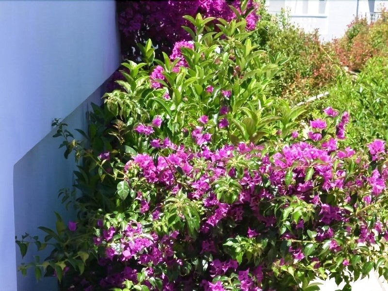 Mare Dei Suite Hotel & Resort 9