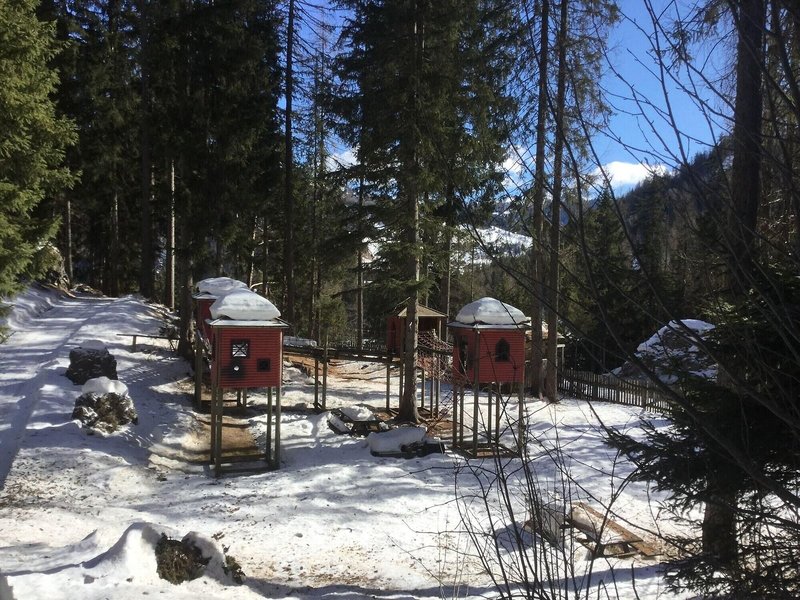 Hotel Sassongher 6