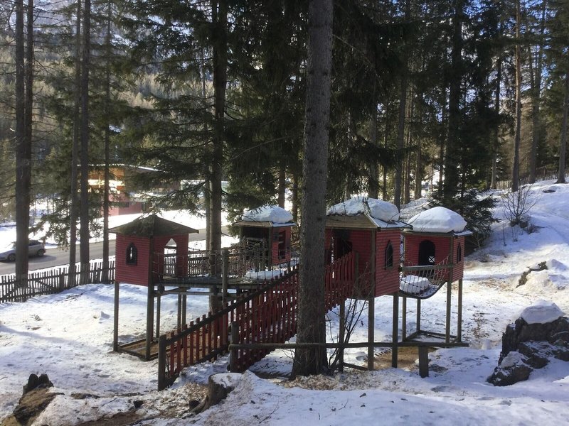 Hotel Sassongher 50