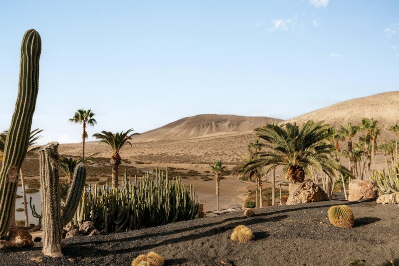 Melia Fuerteventura 118