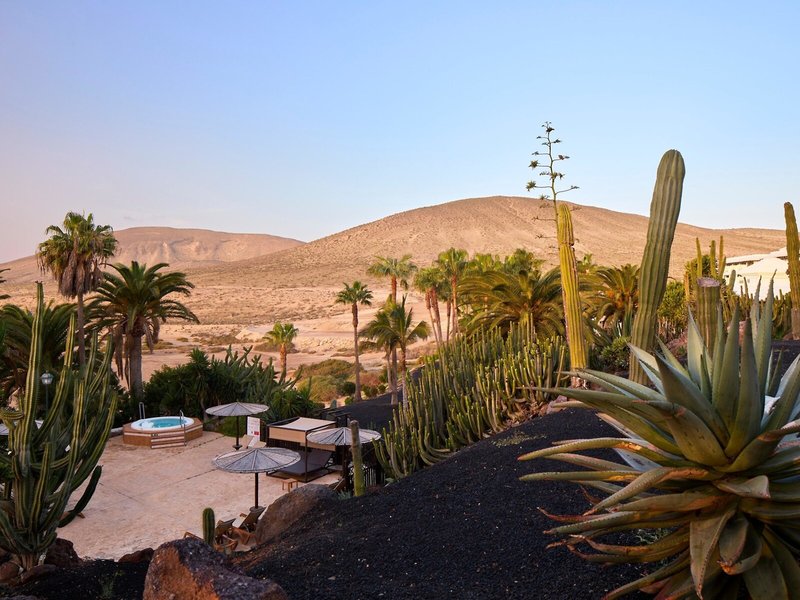 Melia Fuerteventura 11