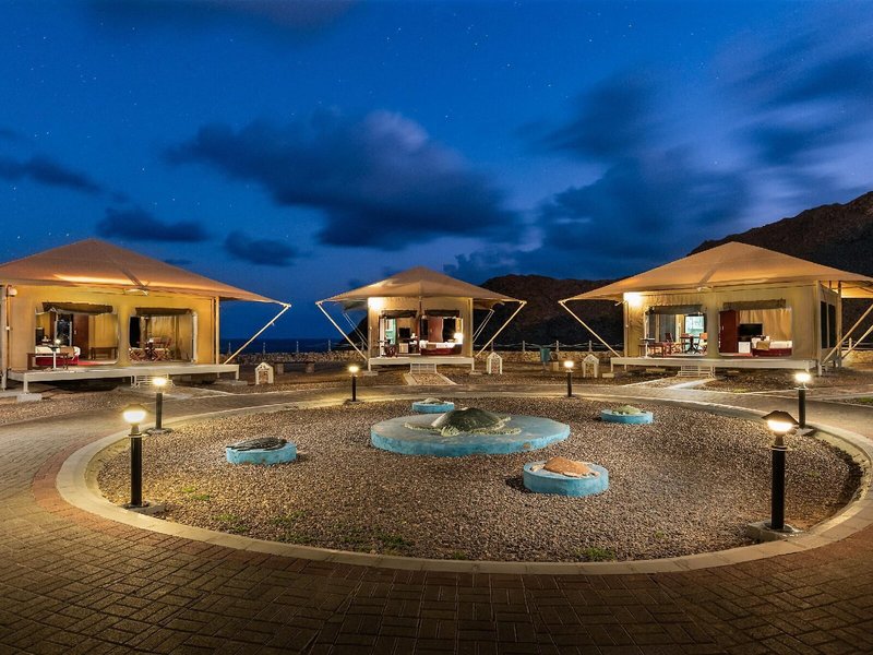 Ras Al Jinz Turtle Reserve 5