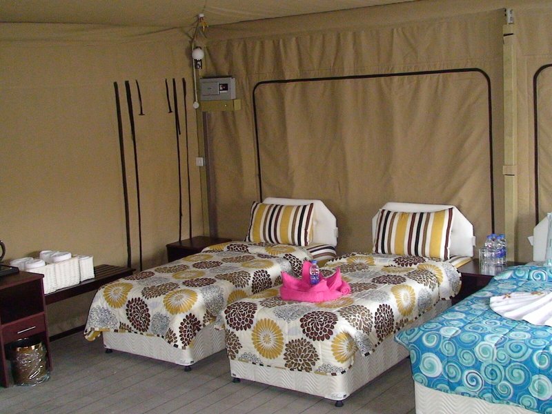 Ras Al Jinz Turtle Reserve 10