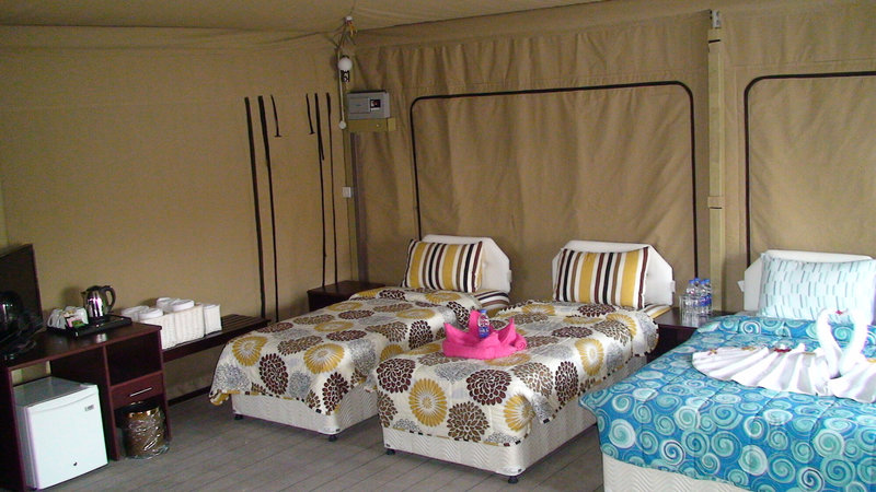 Ras Al Jinz Turtle Reserve 6