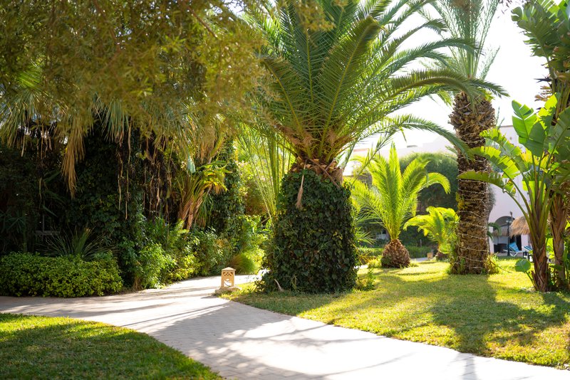 Eden Yasmine Hotel & Spa 23