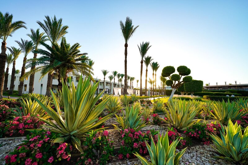 SENTIDO Reef Oasis Senses Resort 30