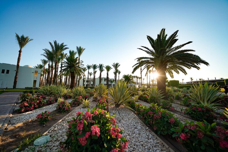 SENTIDO Reef Oasis Senses Resort 31