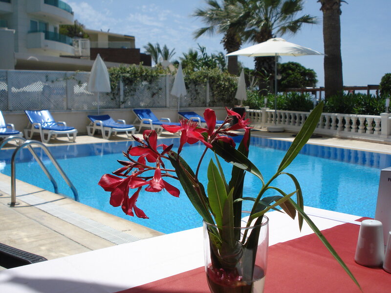 Maxsea Beach Hotel 11