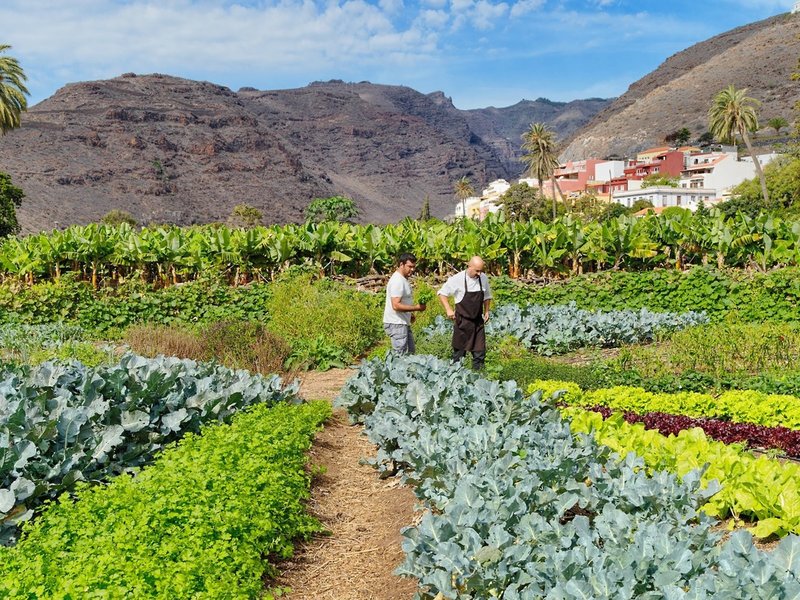 Jardin Tecina 5