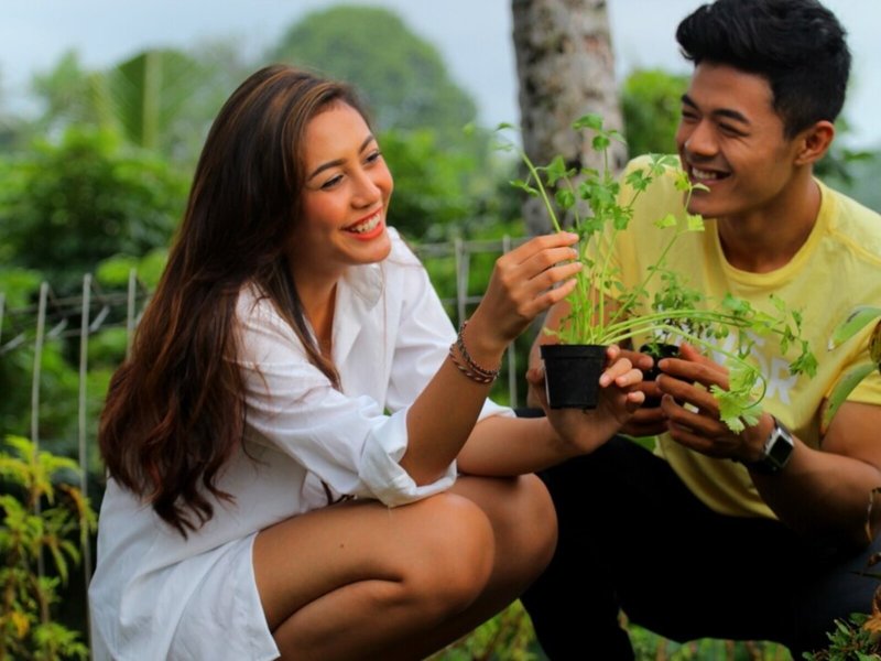 Ashoka Tree Resort 6