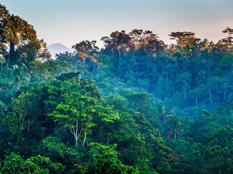 Ashoka Tree Resort 7