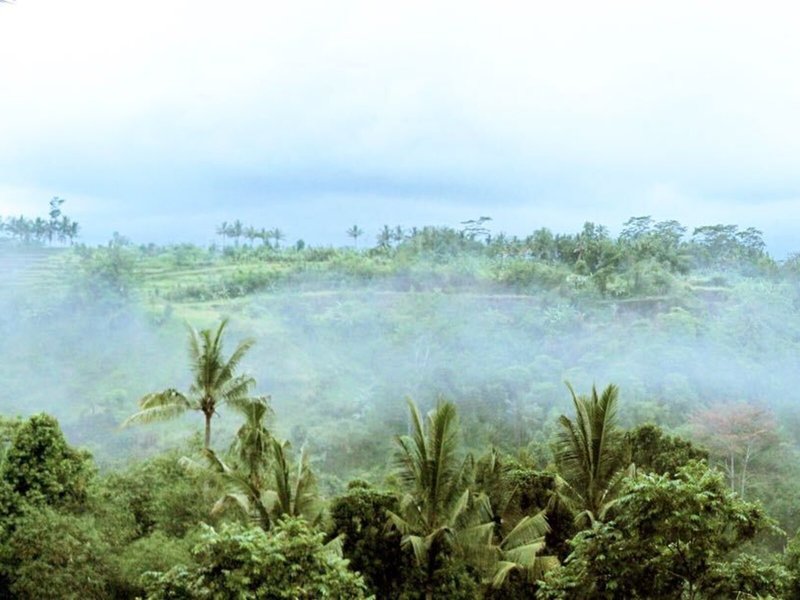 Ashoka Tree Resort 8