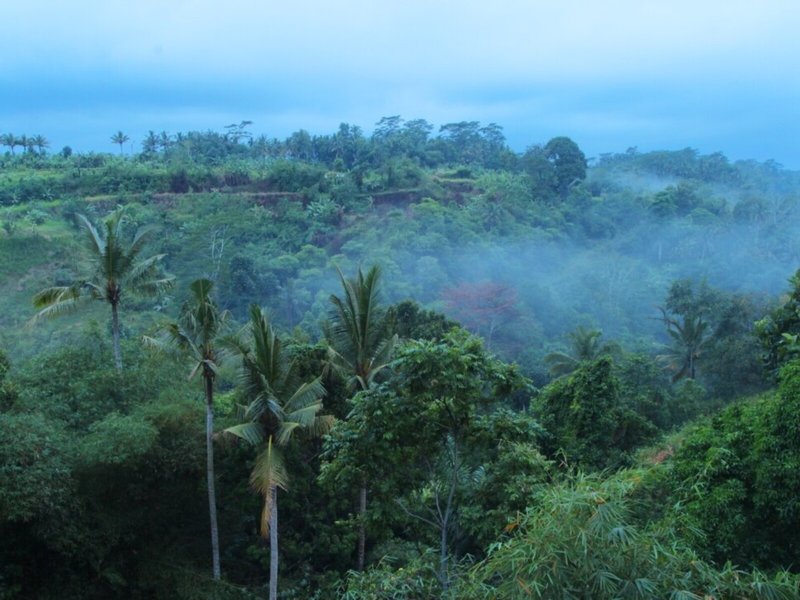 Ashoka Tree Resort 9